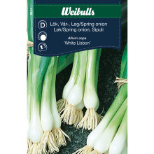 Forårsløg 'White Lisbon'